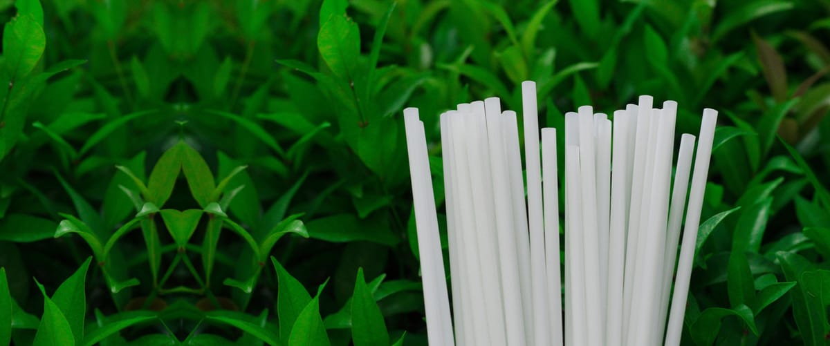 Moving from PLA to PHA in Plastic Alternative Straws